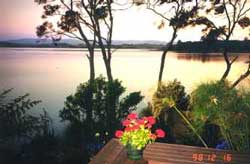 pretty pictures....